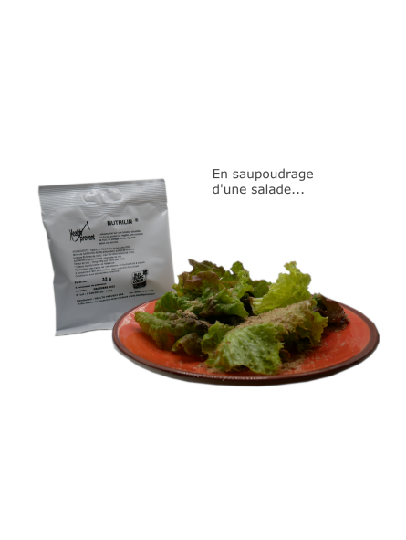 NUTRILIN 30 Sachets Promo