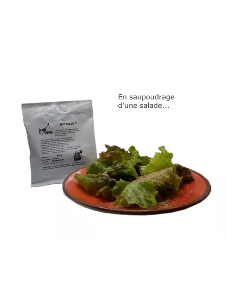 NUTRILIN 30 Sachets Promo