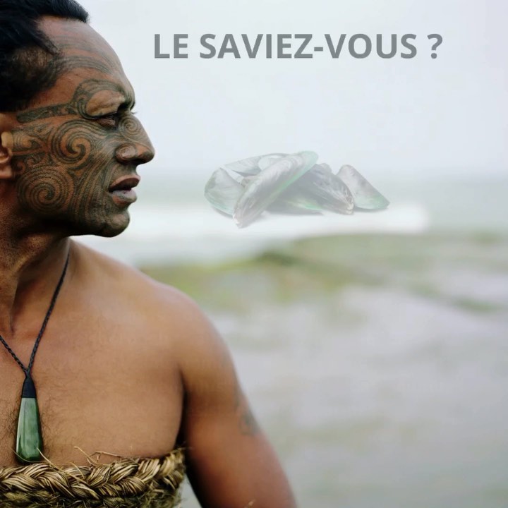 Découvrez le secret ancestral des Maoris pour une vie active et énergique. 💥🌿 
Avec Lyprinol Advanced, disponible sur healthprevent.net 

#lyprinol #SantéHolistique#LyprinolAdvanced #viesaine #healthprevent #moulesvertes